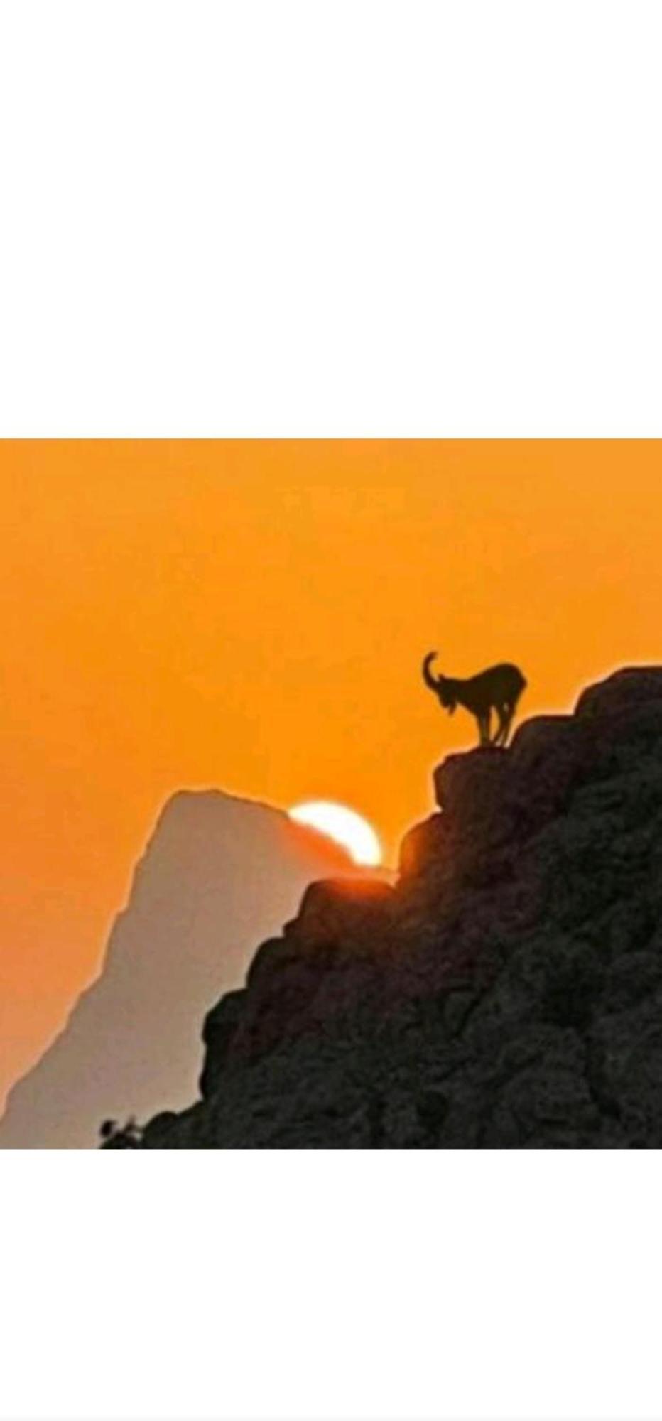 فيلا جبل شمس Jabal Shams Sunset House Dar Sawda المظهر الخارجي الصورة